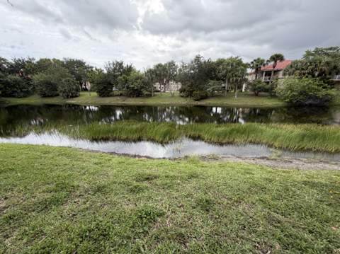 212 Lake Susan Lane, West Palm Beach FL - photo 11 of 44