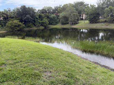 212 Lake Susan Lane, West Palm Beach FL - photo 12 of 44
