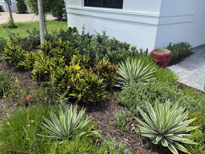 3 bedroom Single Family Residence at 12686 SW Rain River Drive, RIVERLAND PARCEL B - PLAT SEVEN, Port St. Lucie — photo 3