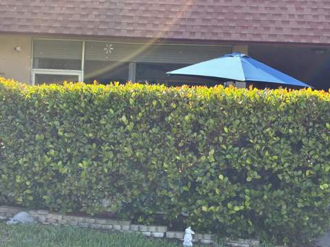 1894 Palmland Drive #3, Boynton Beach FL - photo 19 of 19