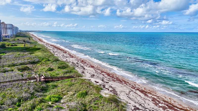 2 bedroom Condominium at 3870 N Highway A1a #805, Hibiscus By The Sea Condominium, Fort Pierce — photo 4