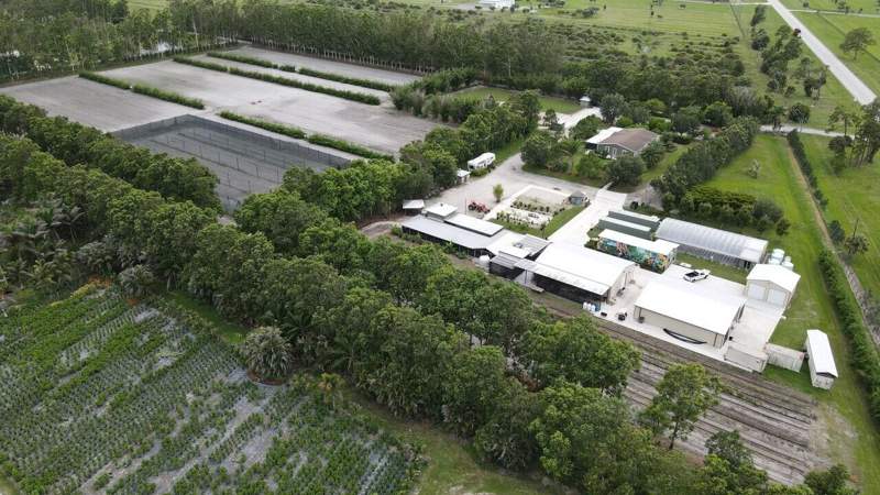 4 bedroom Single Family Residence at 8006 SW Kanner Highway, Box Ranch Groves, Indiantown — photo 5
