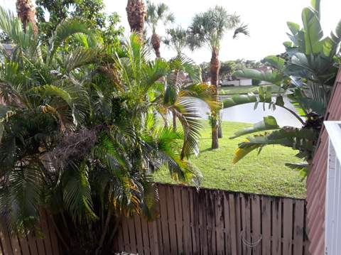 729 Mill Valley Place, West Palm Beach FL - photo 14 of 16