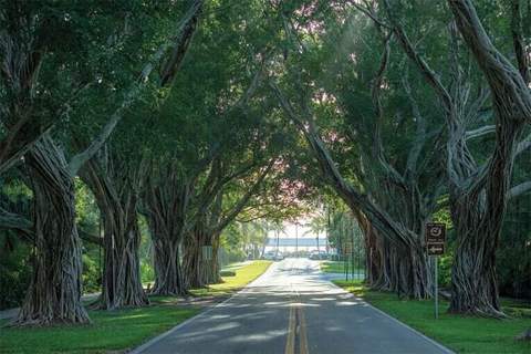 9025 SE Bridge Road #A, Hobe Sound FL - photo 14 of 31