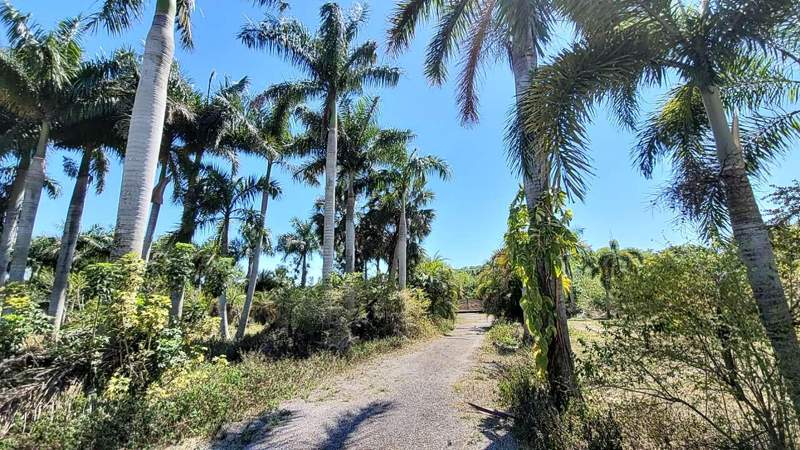 3 bedroom Single Family Residence at 4095 Windmill Road, Loxahatchee, Loxahatchee — photo 2