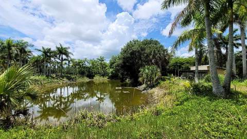 4095 Windmill Road, Loxahatchee FL - photo 12 of 16
