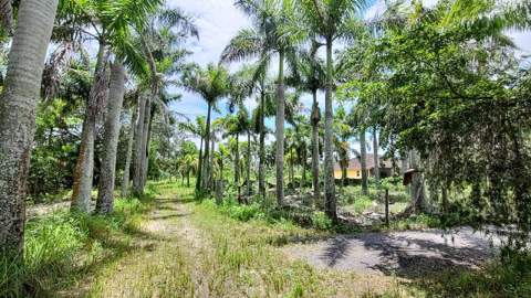 4095 Windmill Road, Loxahatchee FL - photo 13 of 16