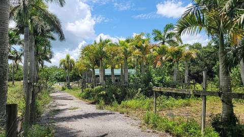 4095 Windmill Road, Loxahatchee FL - photo 14 of 16