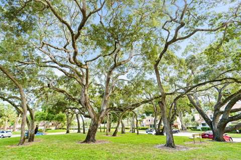 8104 Oakton Court #4b, Lake Clarke Shores FL - photo 23 of 25