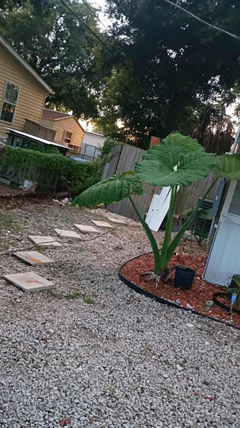 4911 Deanna Lane, Fort Pierce FL - photo 19 of 19