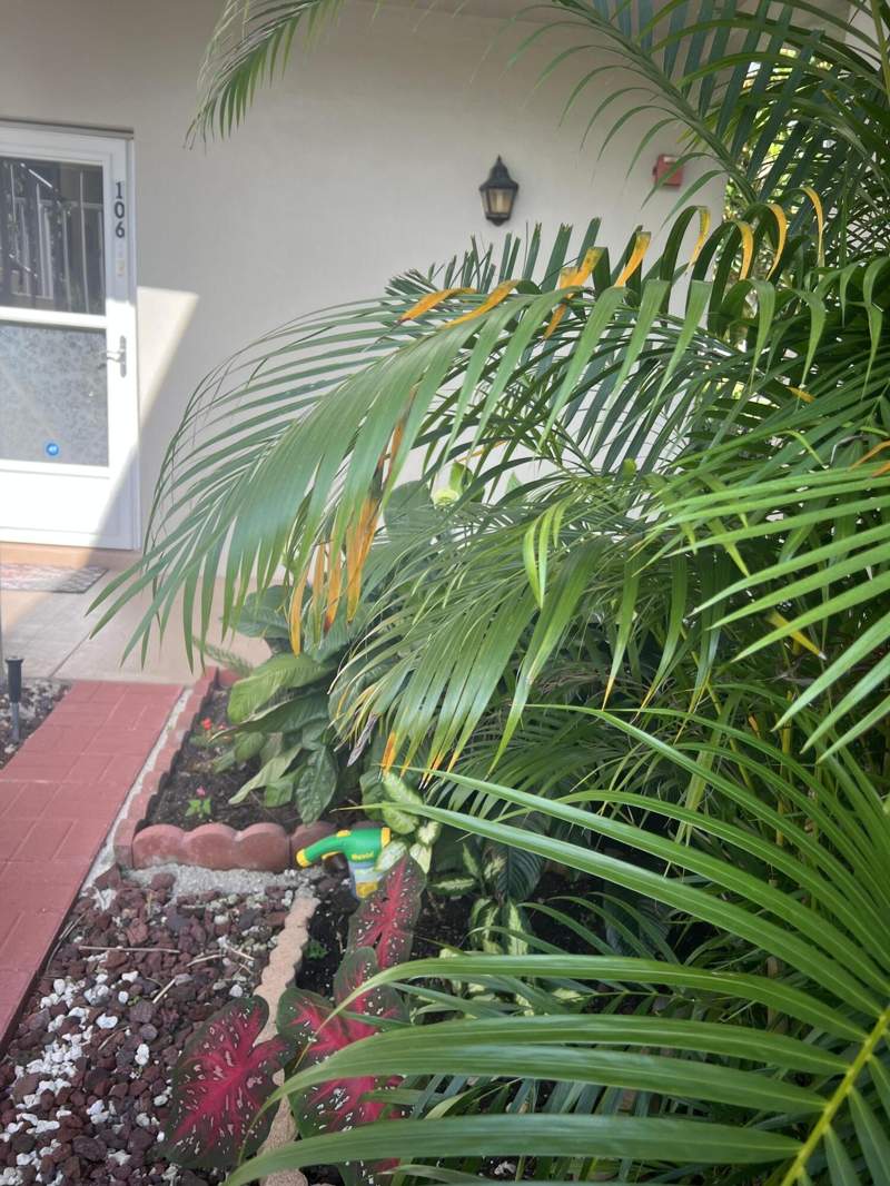 2 bedroom Condominium at 25 Lake Vista Trail #106, Vista St Lucie Buildings 9 Thru 20, Port St. Lucie — photo 4