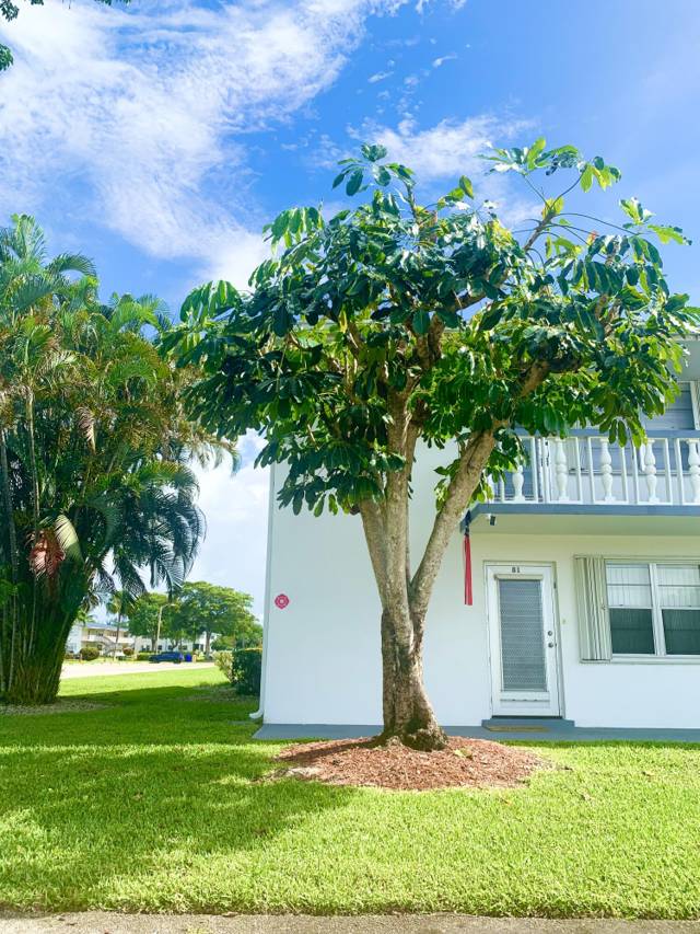 81 Kingswood E