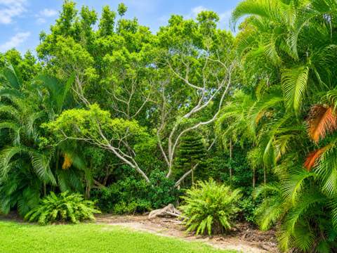 4501 S Ocean Boulevard #F2, South Palm Beach FL - photo 11 of 35