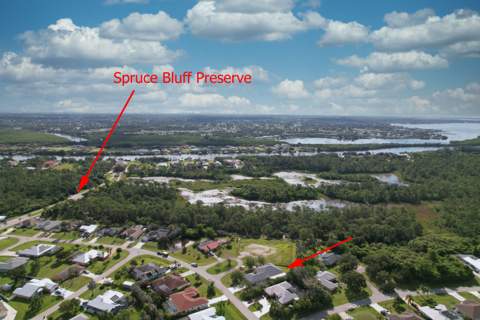 2879 SE Peru Street, Port St. Lucie FL - photo 24 of 48