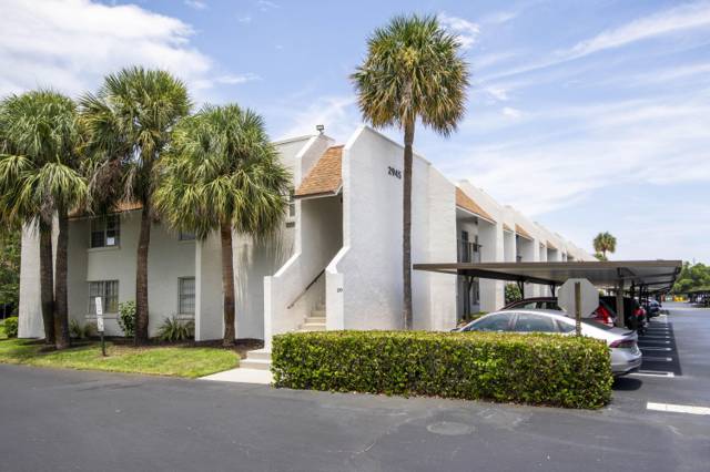 Sabal Pine East