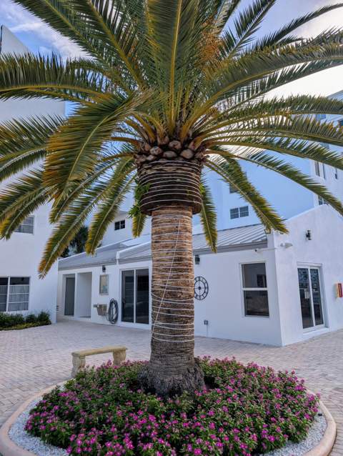2860 NE 14th Street Causeway #102d, Pompano Beach FL - photo 12 of 12