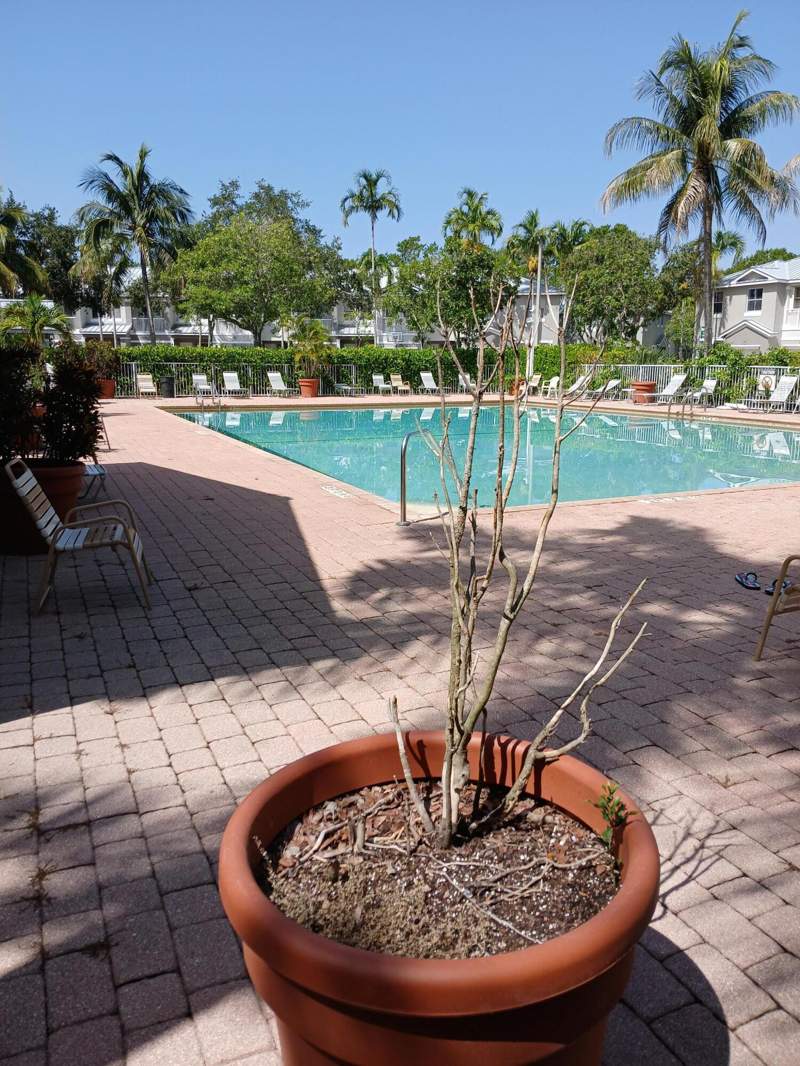 2 bedroom Condominium at 2127 Shoma Drive, Shoma Courtyards II At Royal Palm Condom, Royal Palm Beach — photo 2