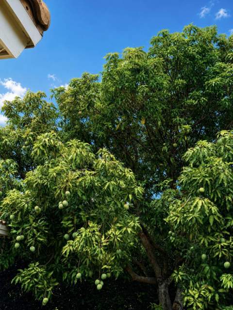 3608 NW 82nd Avenue, Coral Springs FL - photo 15 of 17