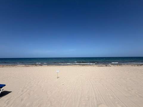 3700 Galt Ocean Drive #209, Fort Lauderdale FL - photo 13 of 31