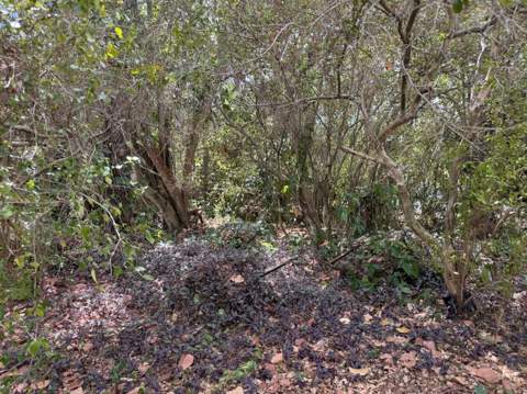3358 S Jog Road, Greenacres FL - photo 12 of 16