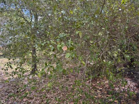 3358 S Jog Road, Greenacres FL - photo 13 of 16