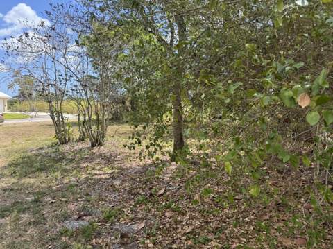 3358 S Jog Road, Greenacres FL - photo 14 of 16