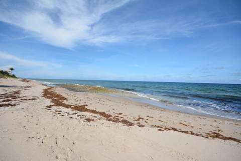 3912 S Ocean Boulevard #501, Highland Beach FL - photo 18 of 87