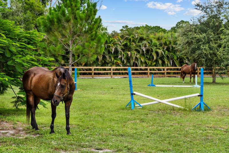 4 bedroom Single Family Residence at 19925 Black Falcon Road, Deer Run, Loxahatchee — photo 5