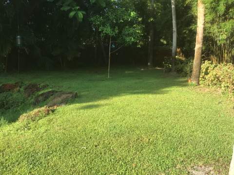 2019 SW 29th Avenue, Fort Lauderdale FL - photo 6 of 26