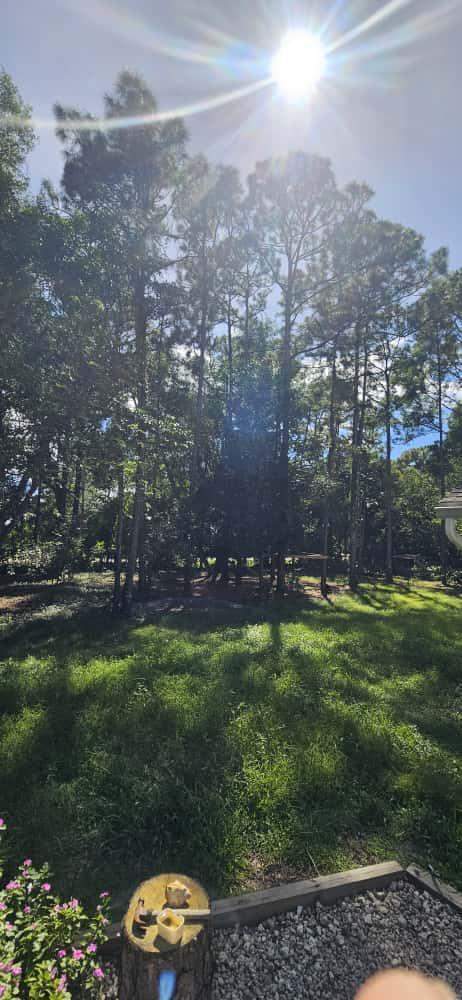 3 bedroom Single Family Residence at 15941 Mellen Lane, Jupiter Farms, Jupiter Farms — photo 2