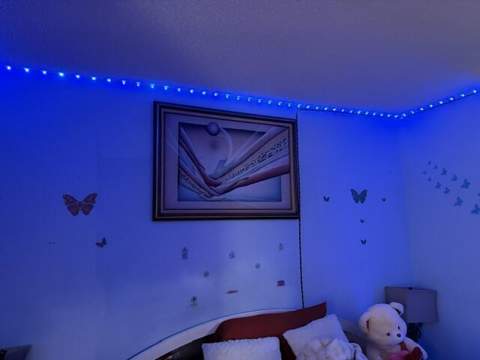 188 Caribe Court, Greenacres FL - photo 8 of 11