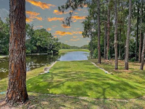 3483 SE Cormorant Place, Hobe Sound FL - photo 12 of 50