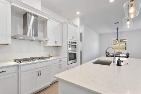 19043 Broad Shore Walk, Loxahatchee FL - photo 19 of 49