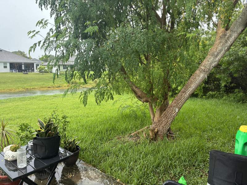 3 bedroom Single Family Residence at 1282 SW Dalton Avenue, Port St Lucie Section 23, Port St. Lucie — photo 5