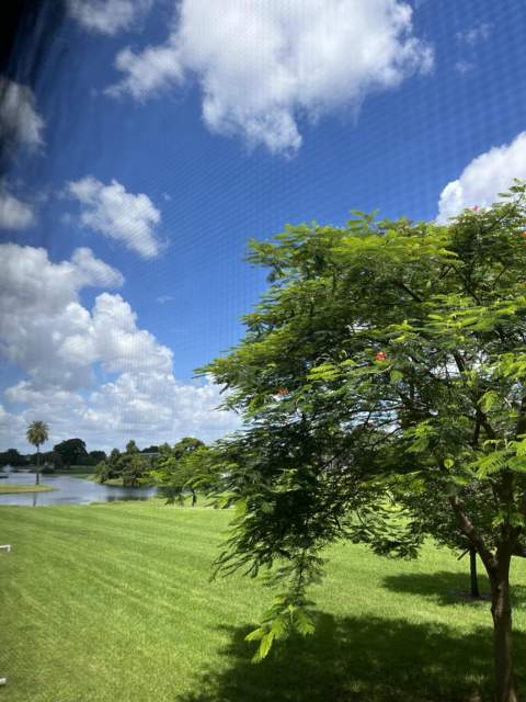 4701 Martinique Drive #L2, Coconut Creek FL - photo 6 of 17