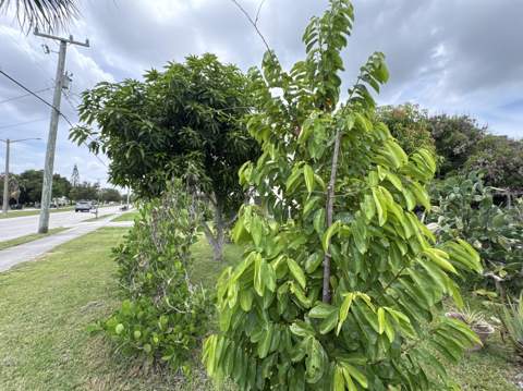 1001 Sunrise Boulevard, Fort Pierce FL - photo 16 of 33