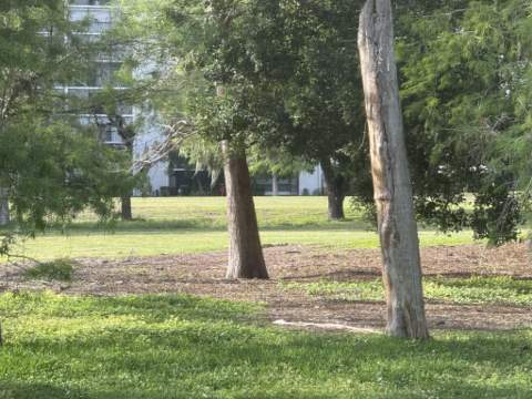 4136 Inverrary Drive #15C, Lauderhill FL - photo 19 of 39