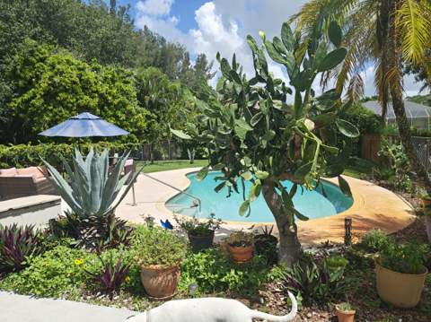13881 42nd Road, West Palm Beach FL - photo 11 of 57