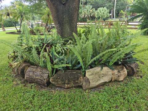 13881 42nd Road, West Palm Beach FL - photo 14 of 57