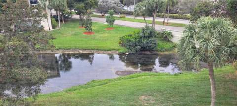 4401 MARTINIQUE Court #D4, Coconut Creek FL - photo 7 of 8