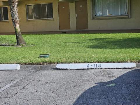 555 Purdy Lane #114, Palm Springs FL - photo 11 of 12