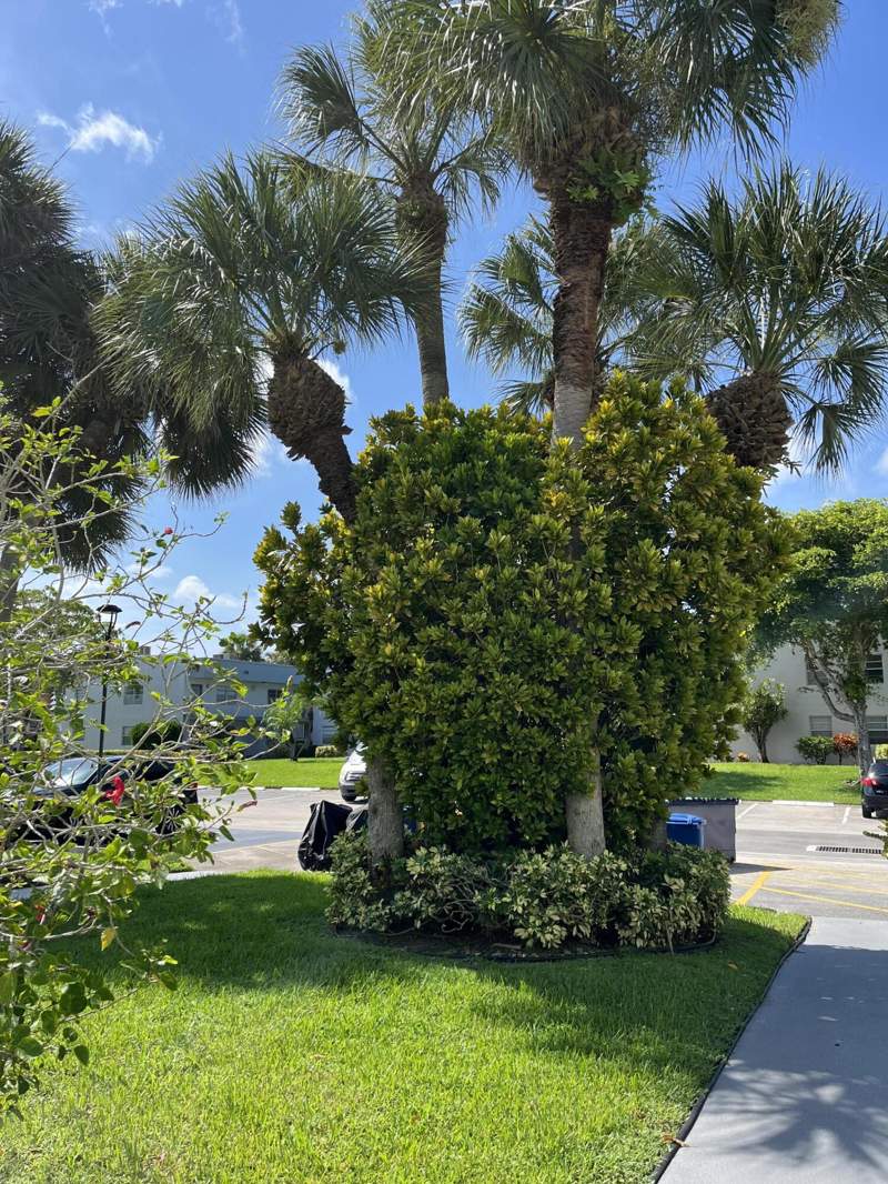 1 bedroom Condominium at 23 Piedmont #A, Kings Point Piedmont Condos, Delray Beach — photo 3