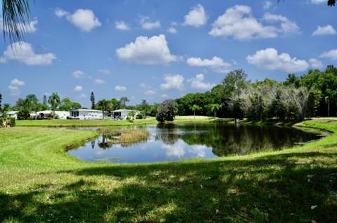 50 W Caribbean, Port St. Lucie FL - photo 19 of 32