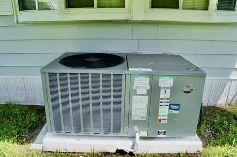 50 W Caribbean, Port St. Lucie FL - photo 21 of 32