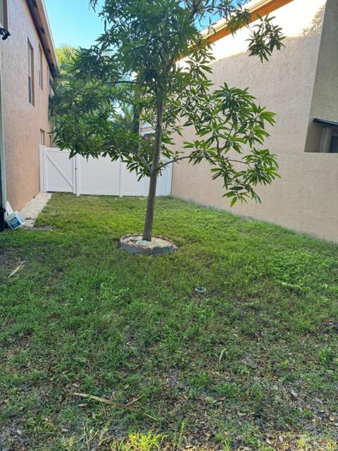 11487 Blue Violet Lane, Royal Palm Beach FL - photo 18 of 39