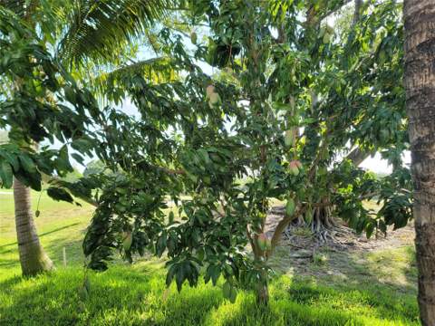 8117 Pelican Harbour Drive, Lake Worth FL - photo 20 of 93