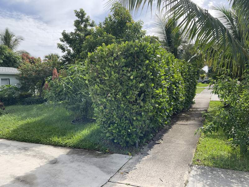 3 bedroom Single Family Residence at 211 NE 27th Avenue, Rolling Green Ridge 1st Add, Boynton Beach — photo 4