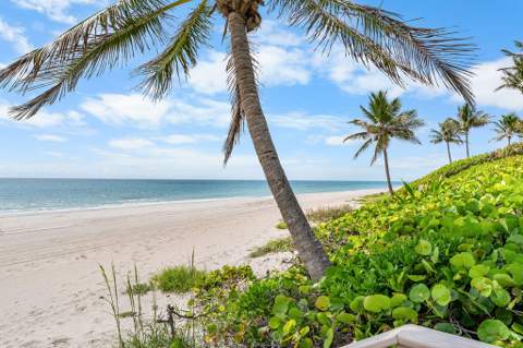 11958 Turtle Beach Road, North Palm Beach FL - photo 23 of 60