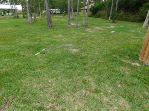 16407 80th Street, The Acreage FL - photo 18 of 18