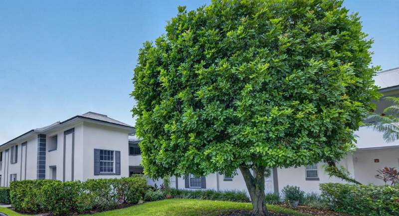 2 bedroom Condominium at 803 SE Central Parkway #9, Towne Park North Condo, Stuart — photo 4